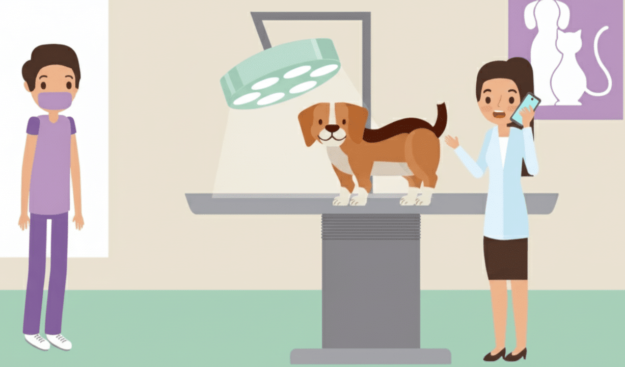 top-ai-dictation-scribe-software-veterinarians